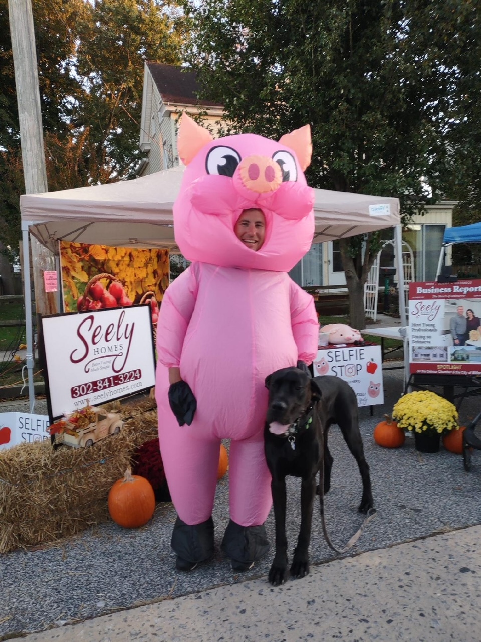 Even dogs loved Scrappy the Pig